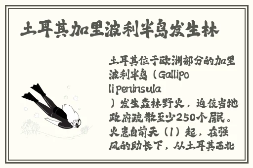 白丝校花 扒开美腿甜美